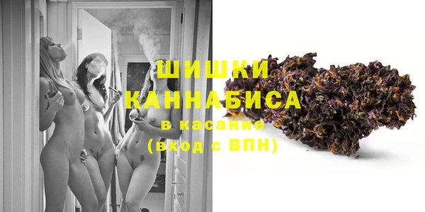 сатива Ладушкин