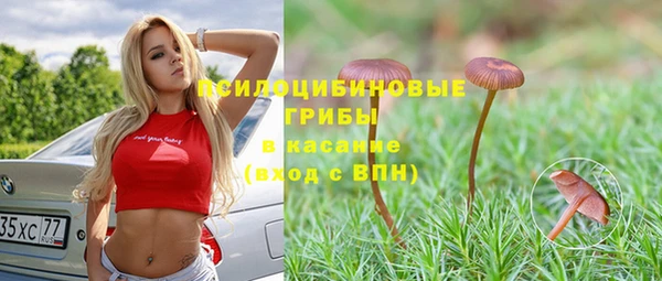 сатива Ладушкин