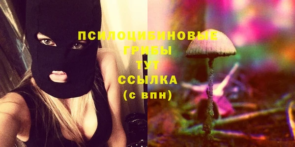 сатива Ладушкин
