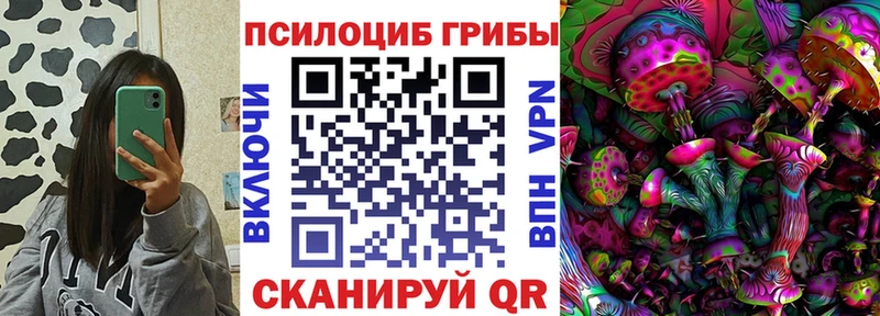 Купить закладки  Лыткарино  Галлюциногенные грибы прущие грибы 